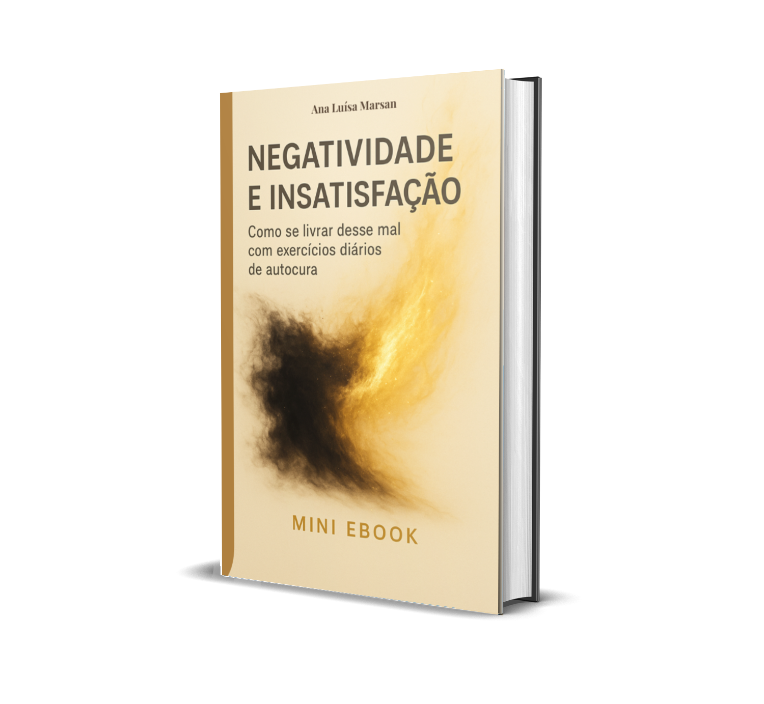 ANSI E INSA livro maior FP