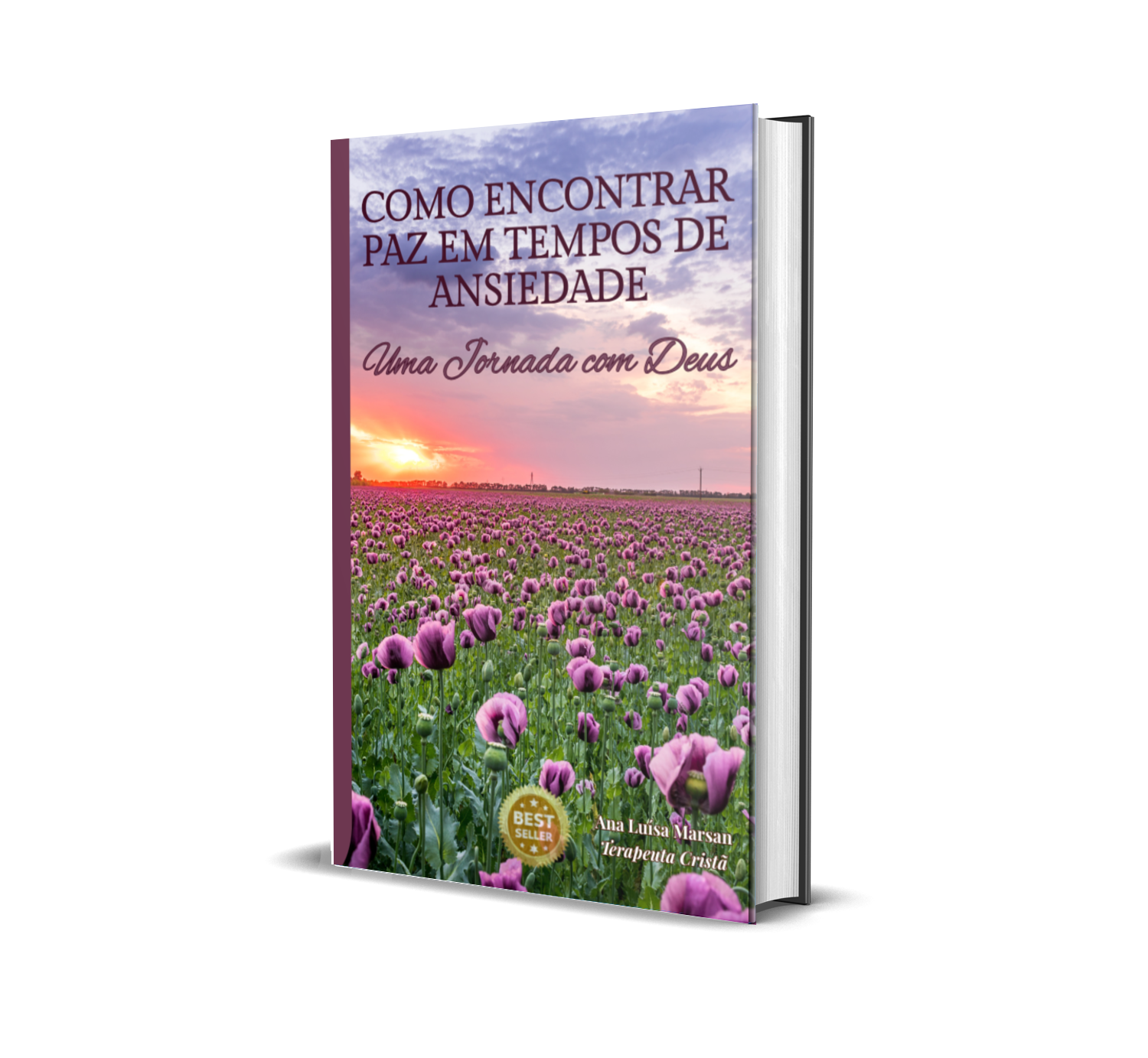 ansiedade livro mais virado FP